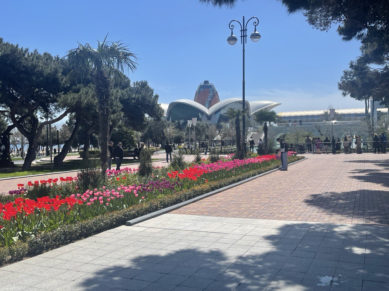 Азербайджан. 4 дня притяжения: история, современность, море и кухня. (71/157)