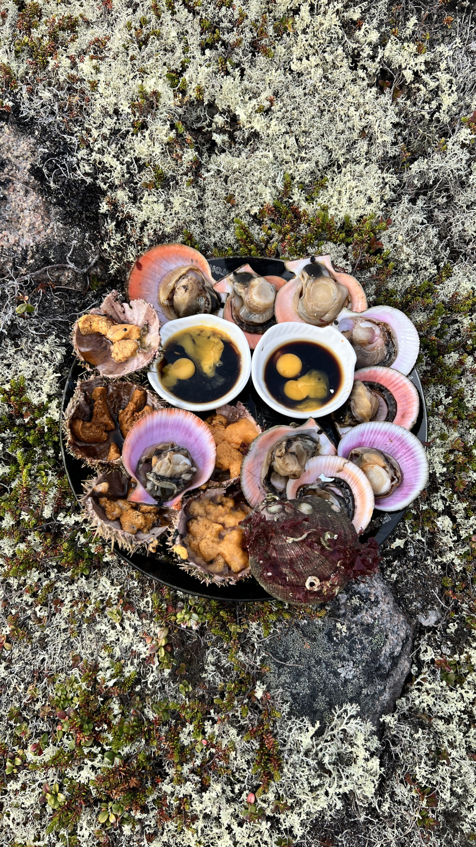 Увидеть все: киты, Териберка, морепродукты (8/24)