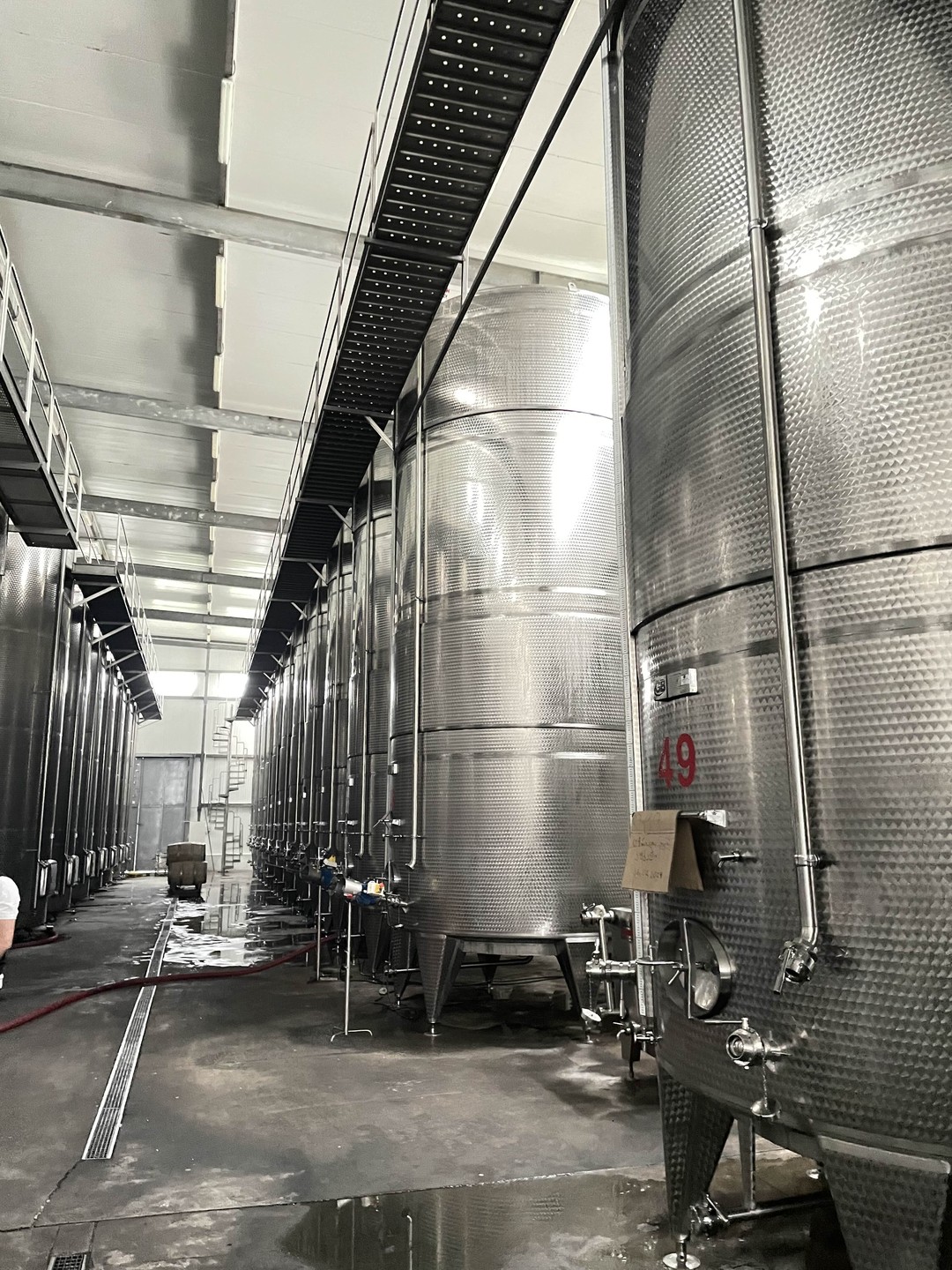 Тур влюбленный в Грузию! (41/132)