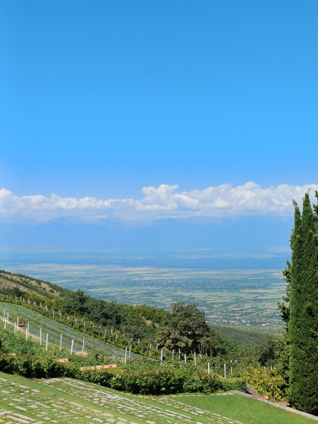 Тур влюбленный в Грузию! (13/132)