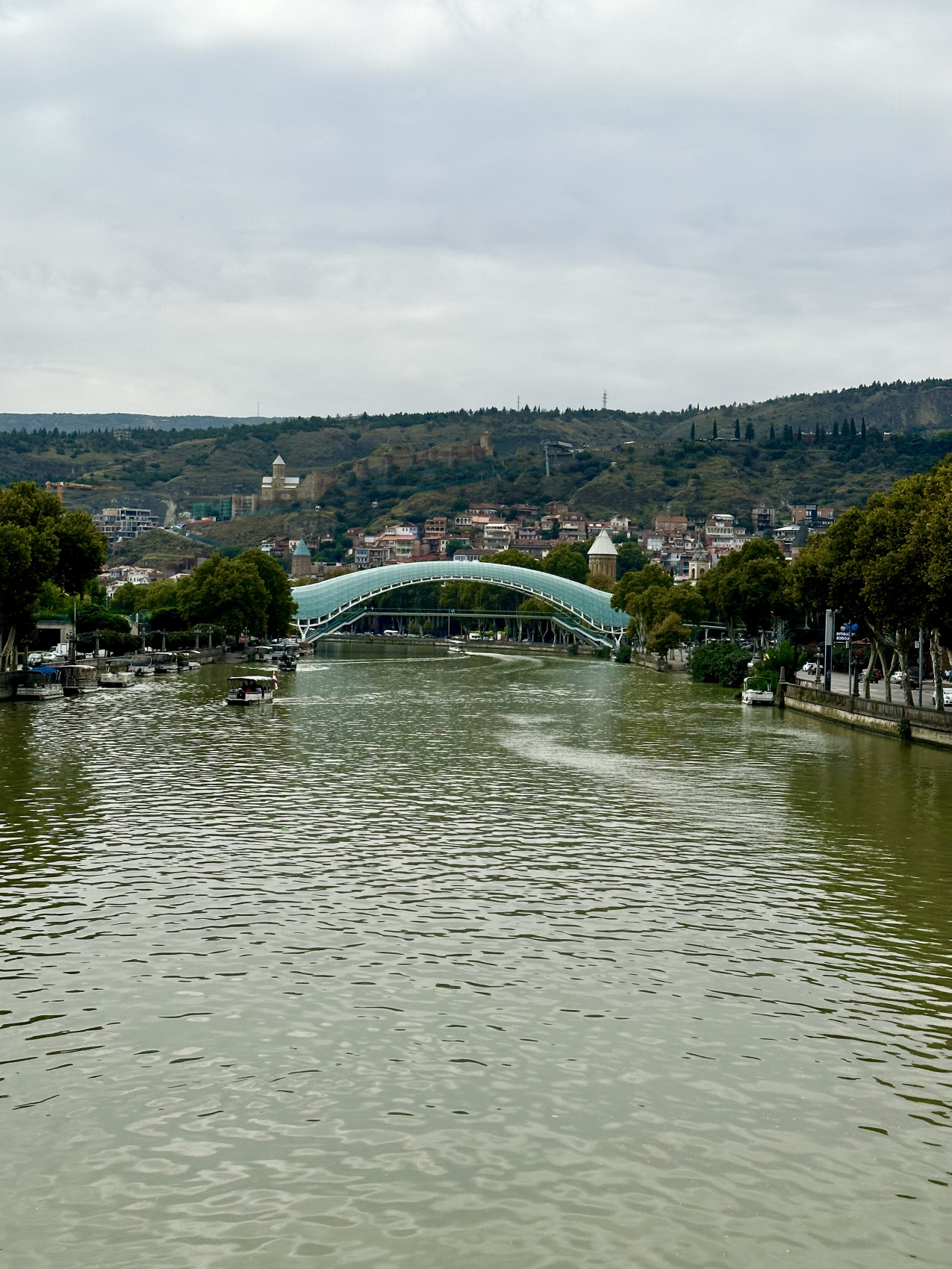 Тур влюбленный в Грузию! (100/132)