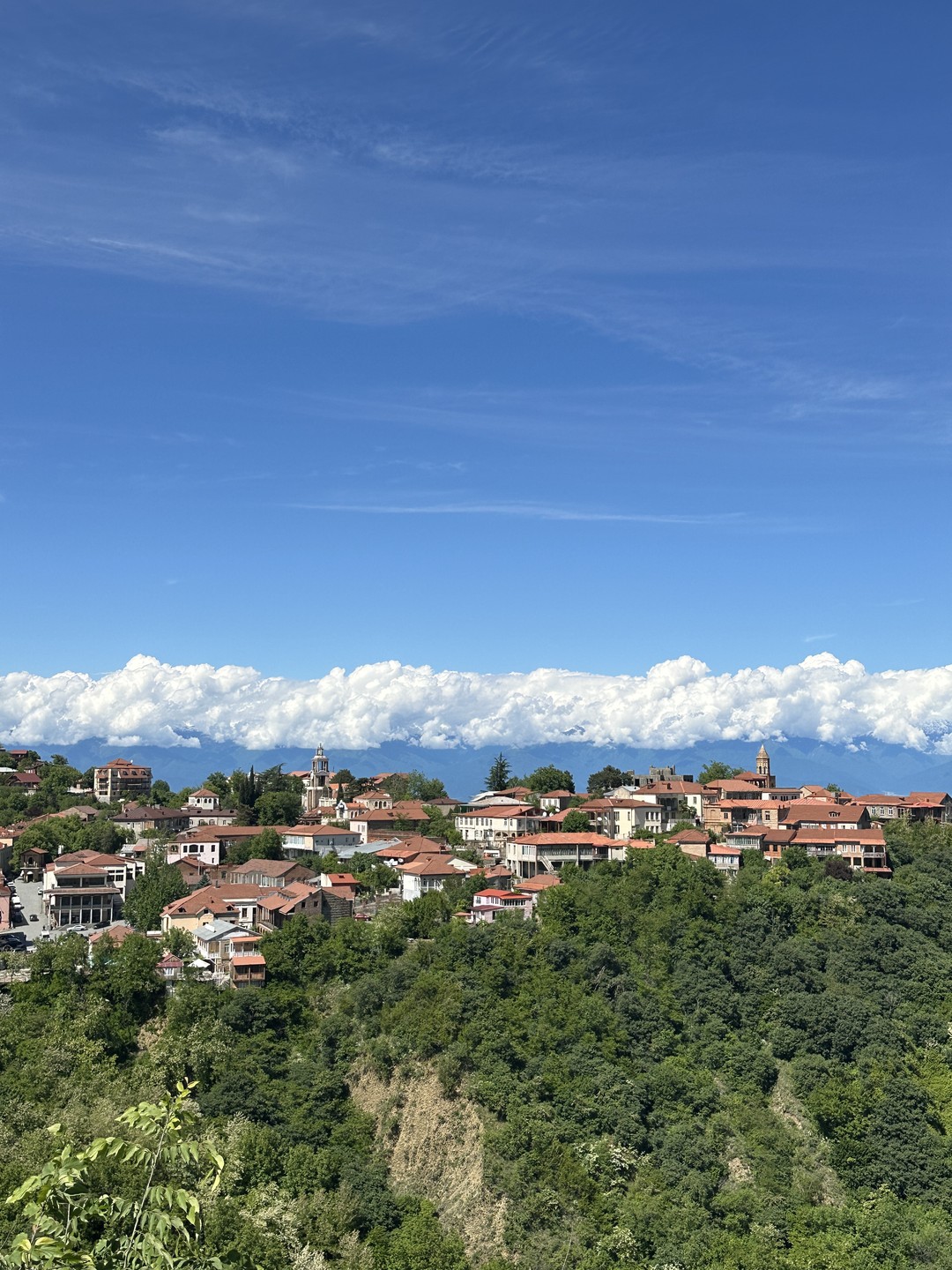 Тур влюбленный в Грузию! (28/132)