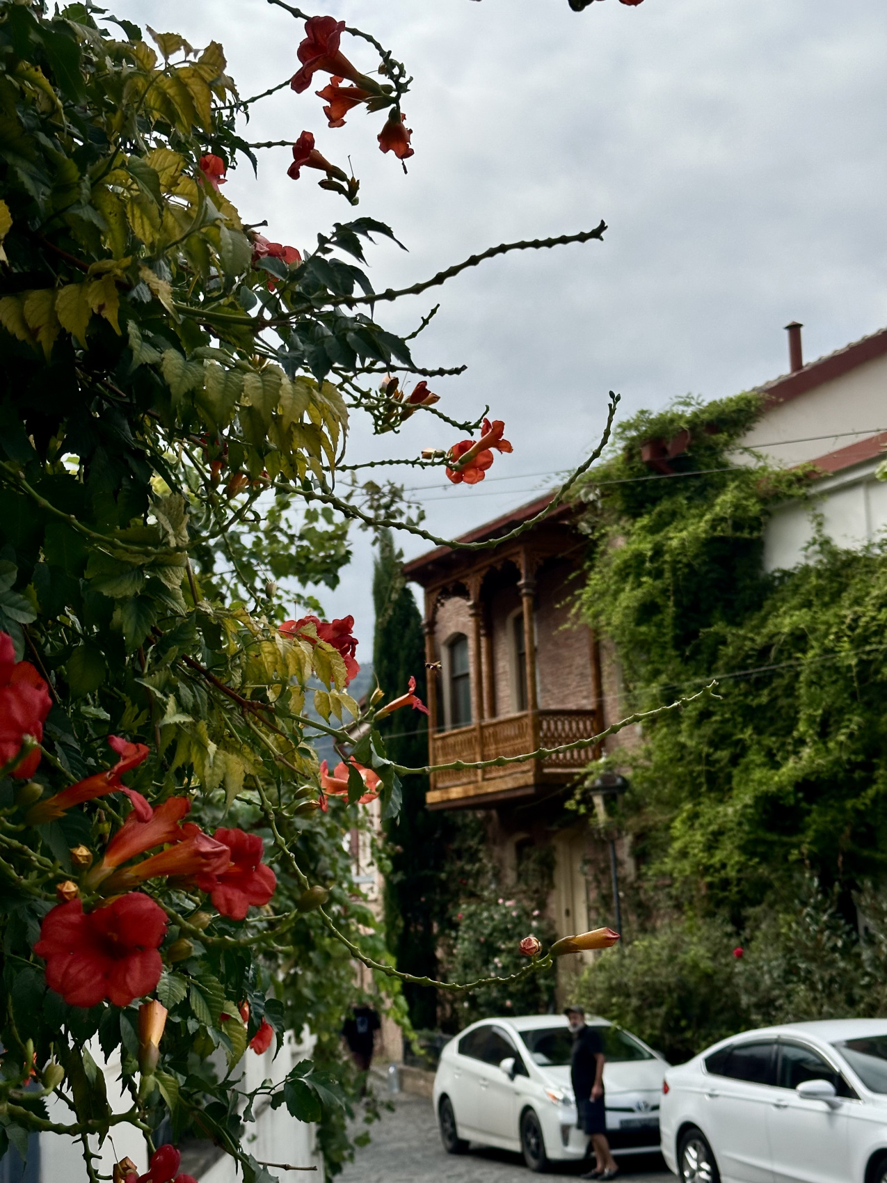 Тур влюбленный в Грузию! (65/132)