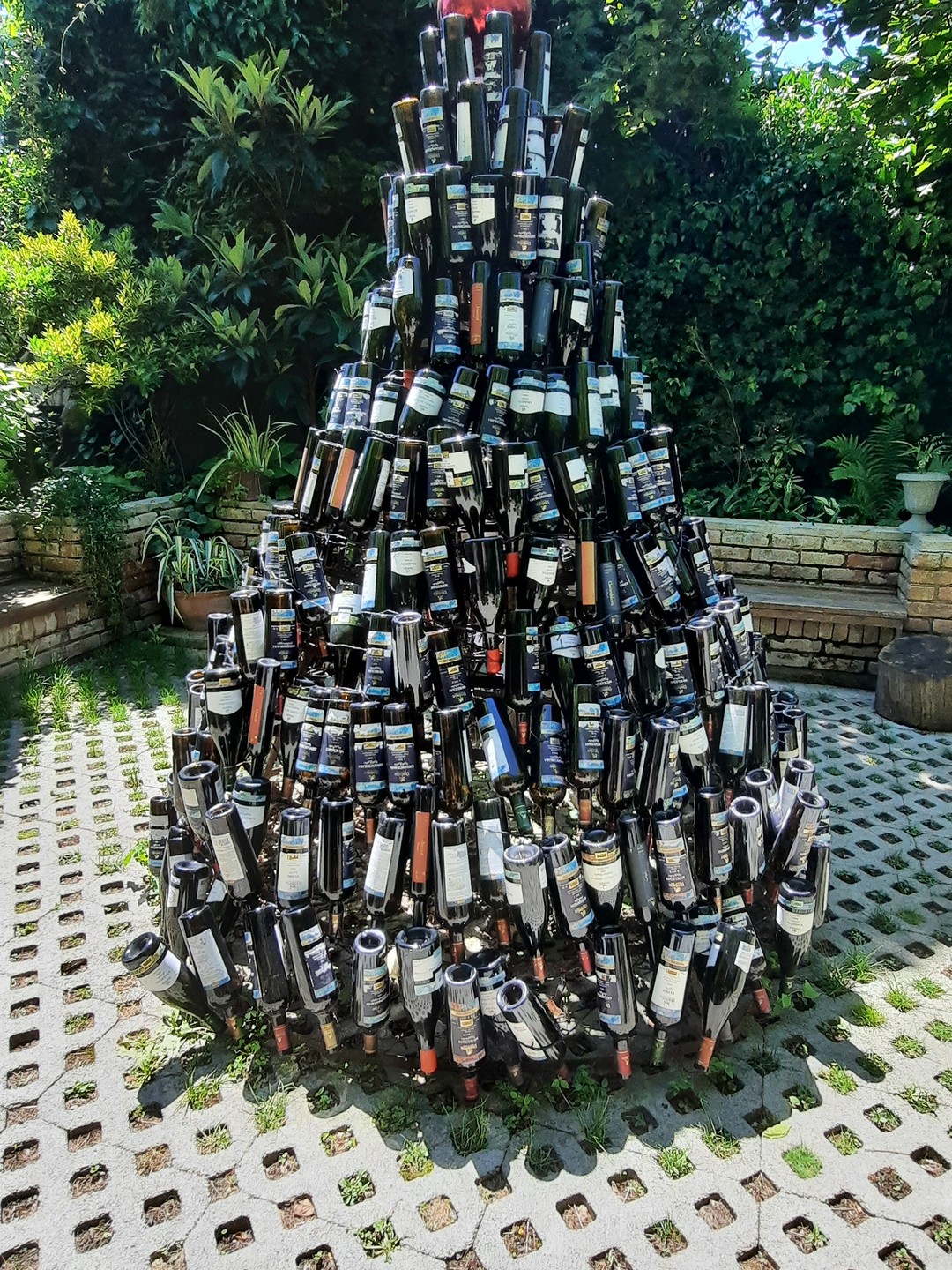 Тур влюбленный в Грузию! (30/132)