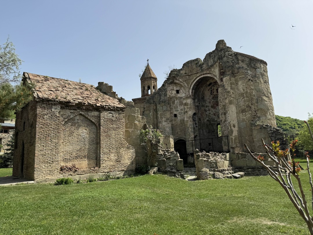 Тур влюбленный в Грузию! (24/132)