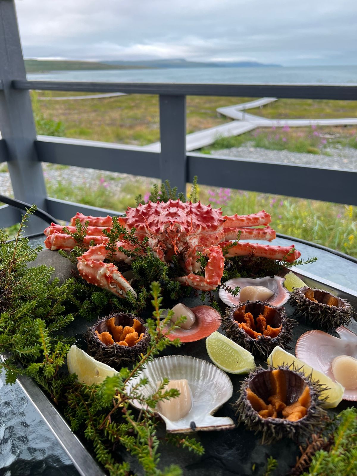 Кольский на Максимум (4/14)