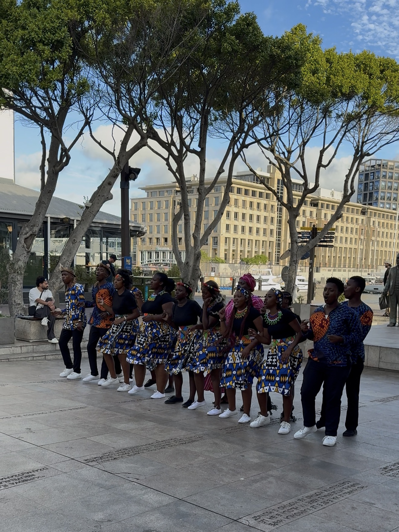 Юар-Большое Путешествие: пингвины, сафари и гепарды, вертолеты и вино (7/23)