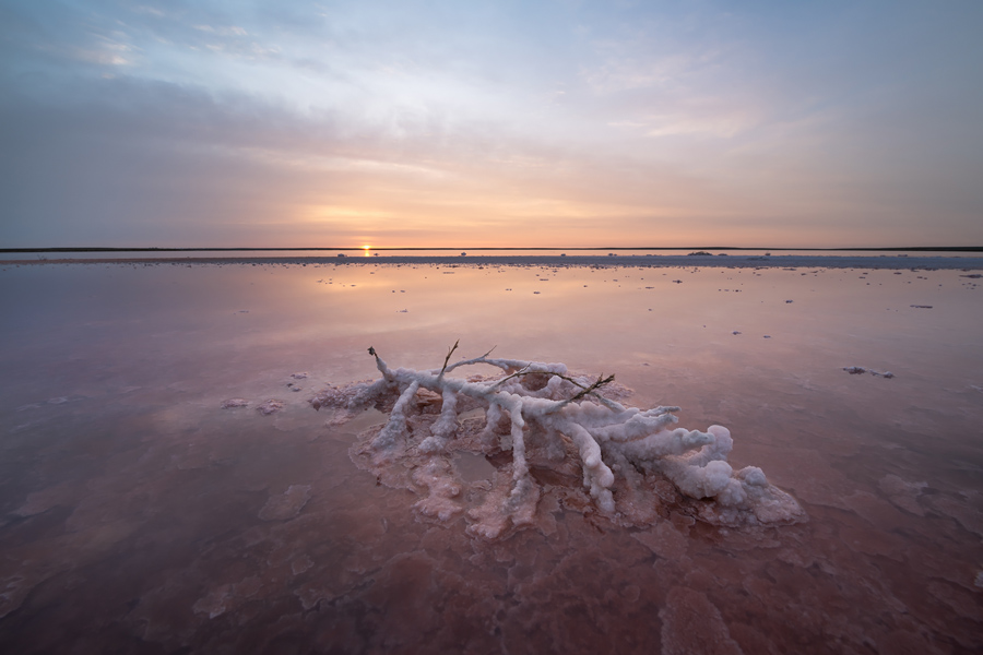 Путешествие в цветущую степь (20/26)