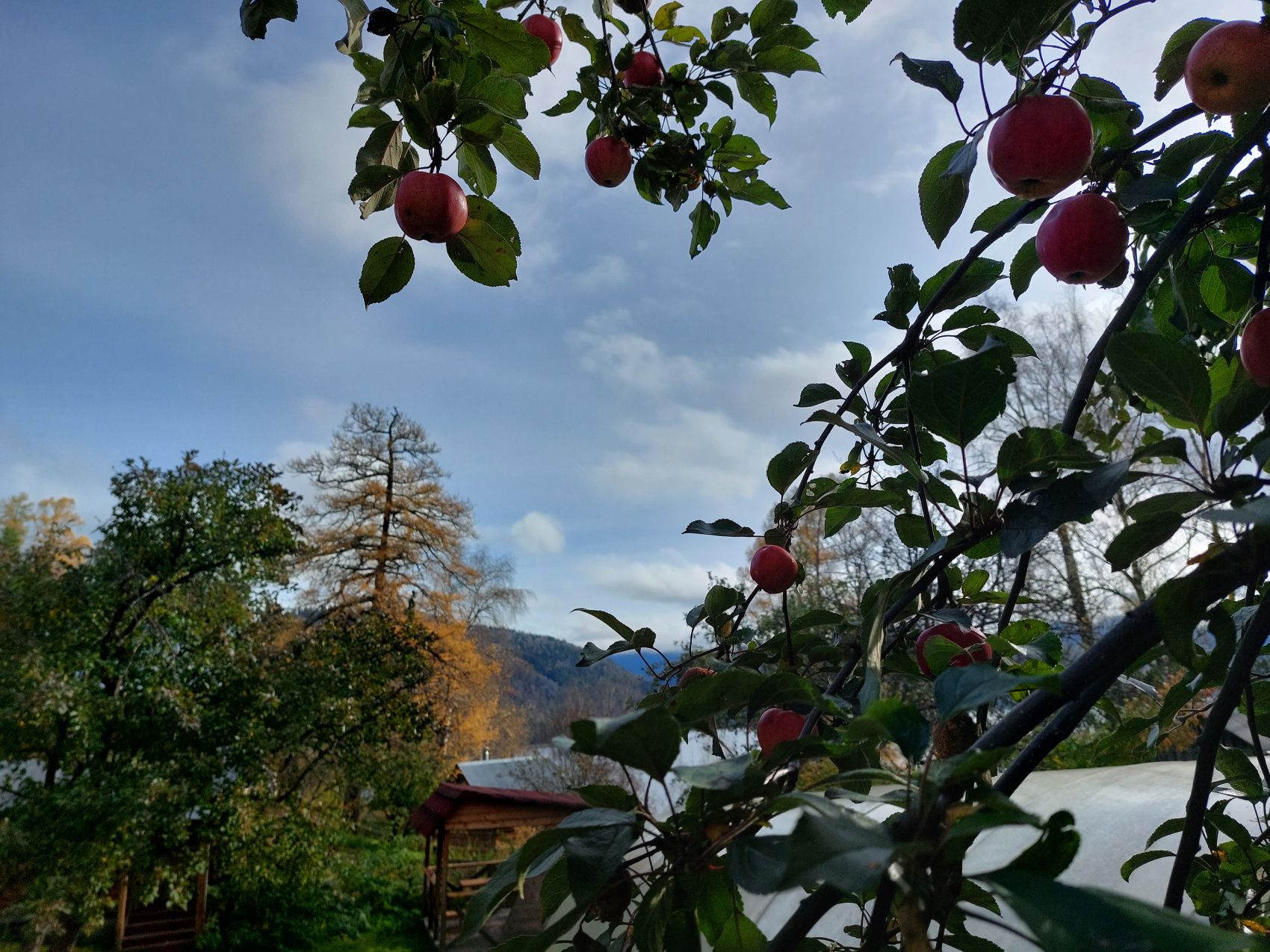 Заповедный Яйлю. Телецкое озеро