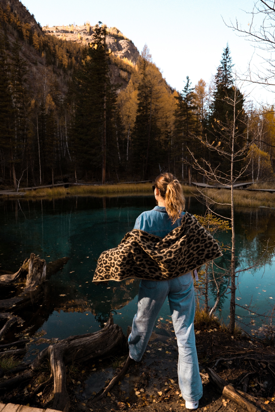 Горный Алтай - от популярного до дикого : Кату-Ярык, Актру, Марс, Куркуре (8/27)