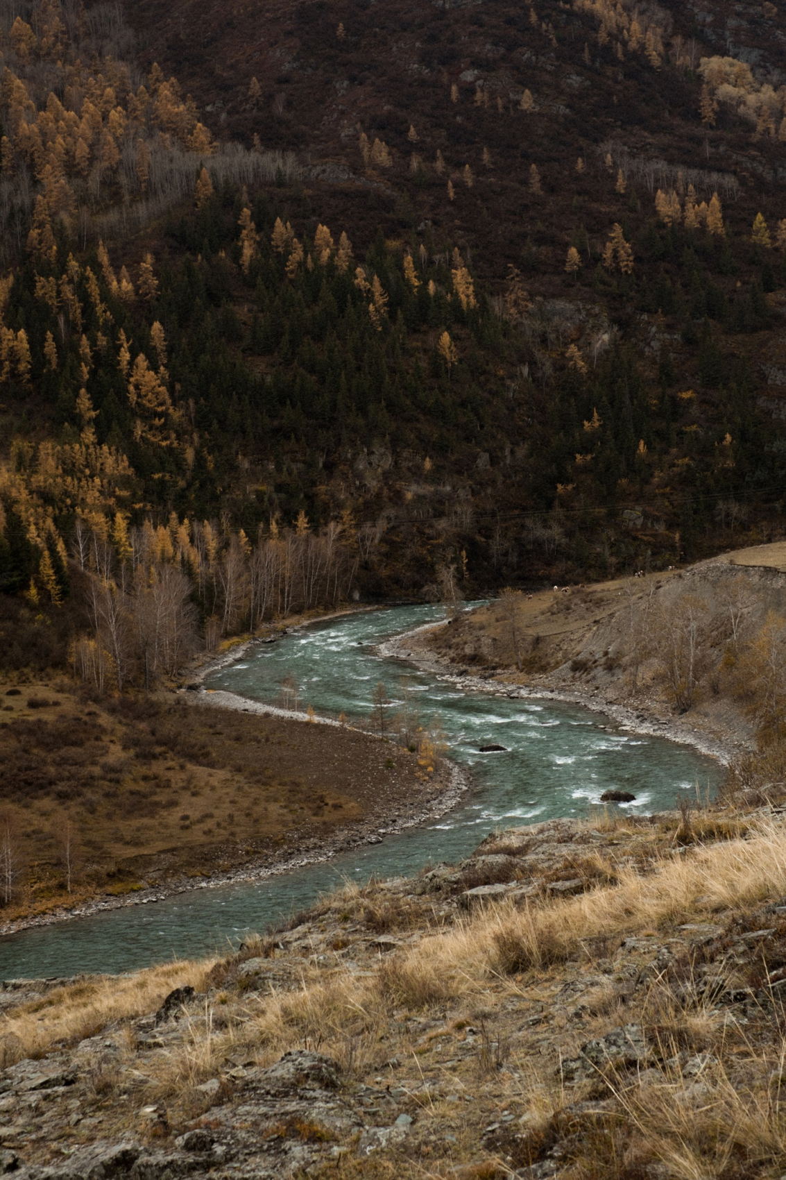 Горный Алтай - от популярного до дикого : Кату-Ярык, Актру, Марс, Куркуре (11/27)