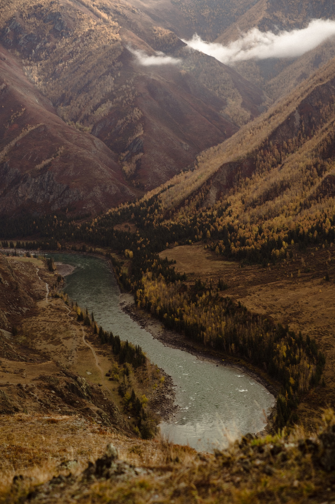 Горный Алтай - от популярного до дикого : Кату-Ярык, Актру, Марс, Куркуре (13/27)