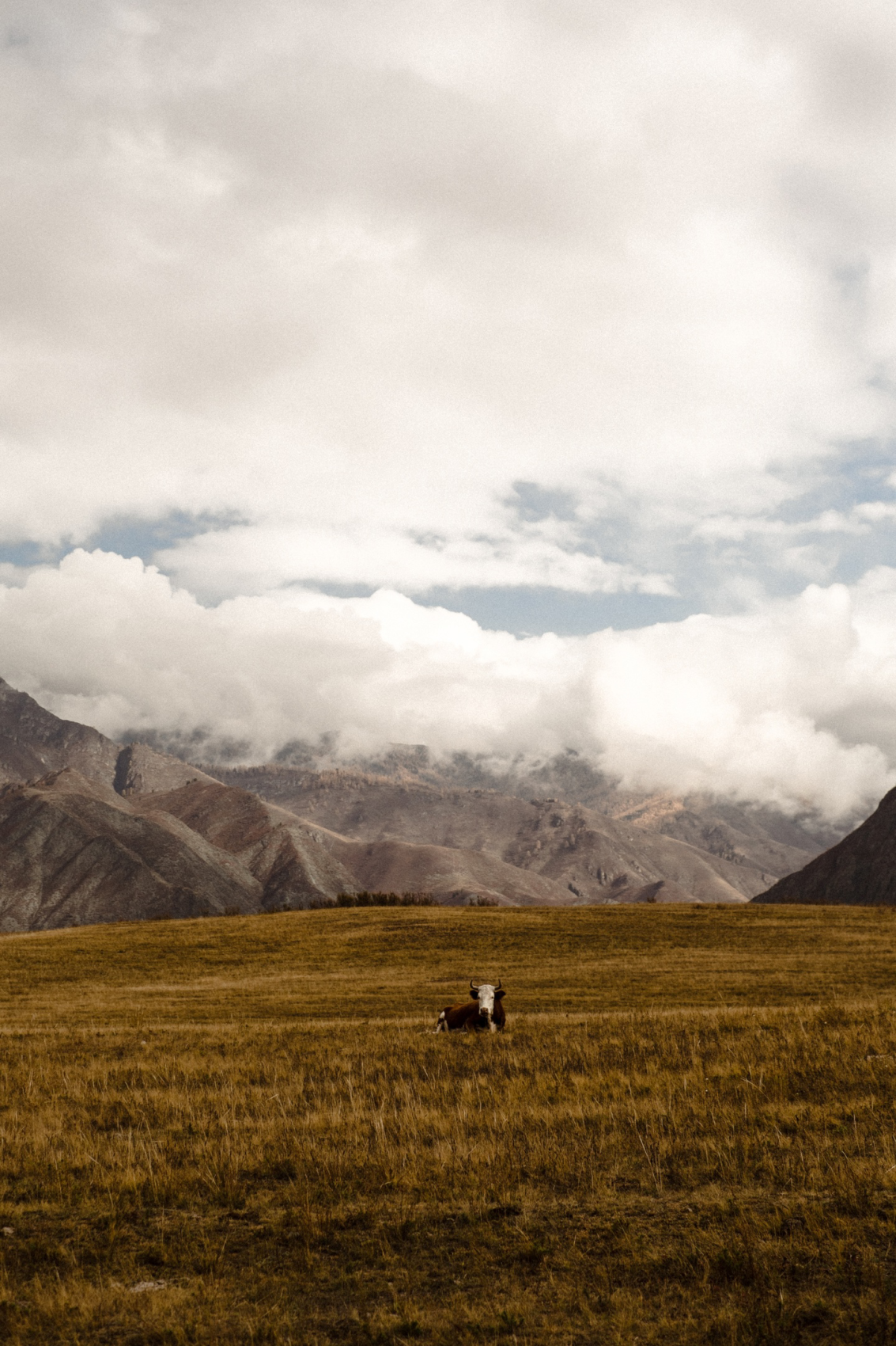 Горный Алтай - от популярного до дикого : Кату-Ярык, Актру, Марс, Куркуре (4/27)