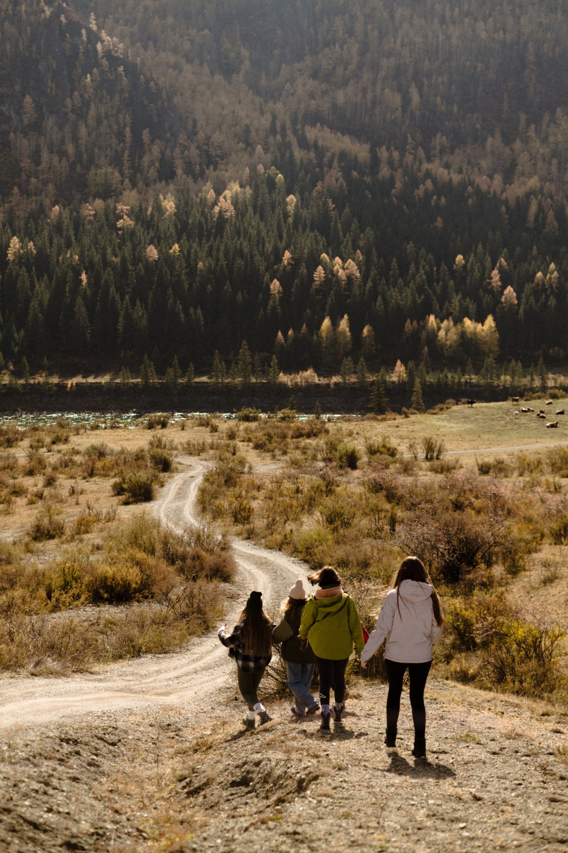 Горный Алтай - от популярного до дикого : Кату-Ярык, Актру, Марс, Куркуре (2/27)