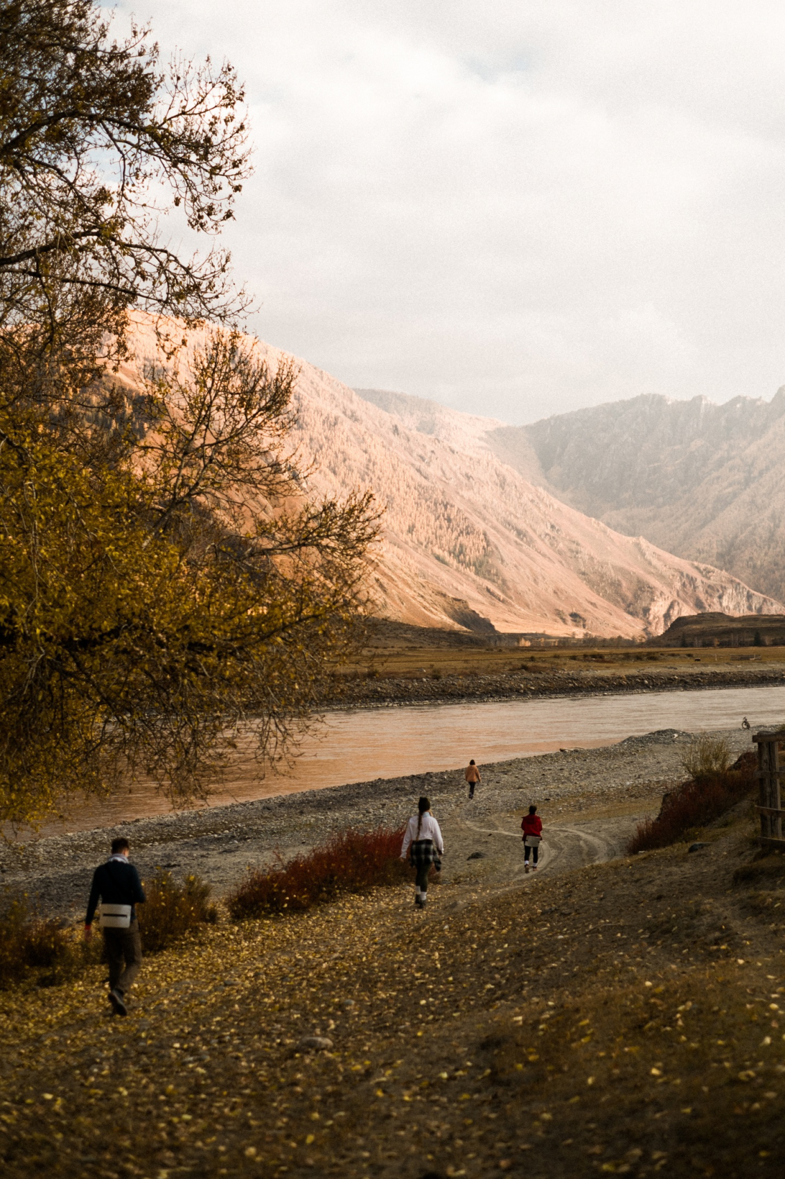Горный Алтай - от популярного до дикого : Кату-Ярык, Актру, Марс, Куркуре (10/27)