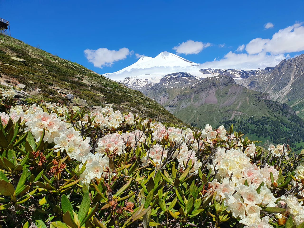В гости на Кавказ! (10/17)