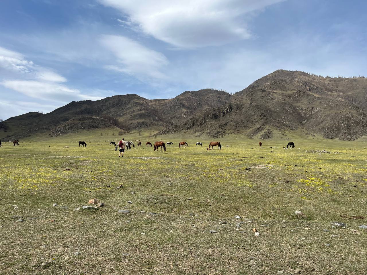 Феникс -перерождение на Алтае. (2/22)