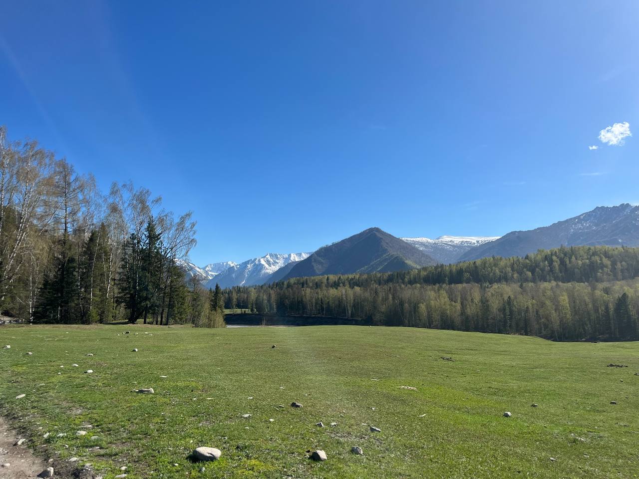 Феникс -перерождение на Алтае. (5/22)