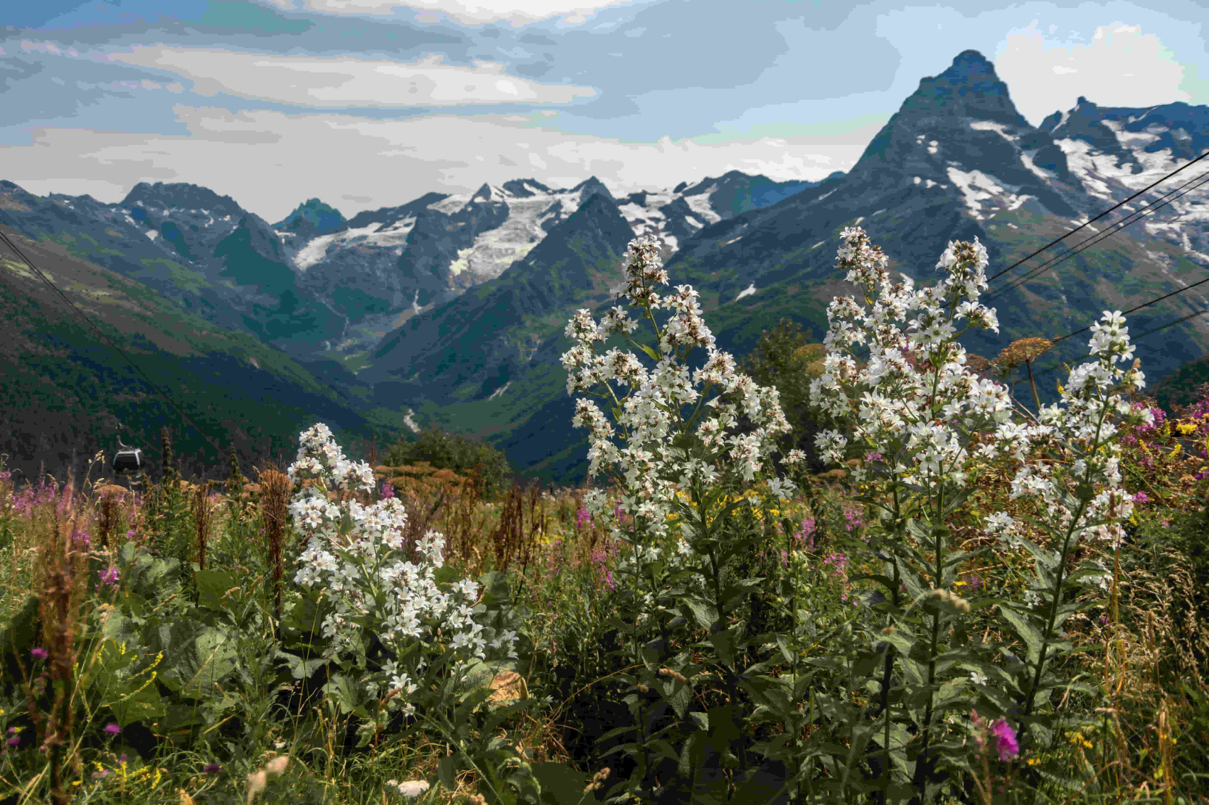 Кавказская мозаика (5/10)