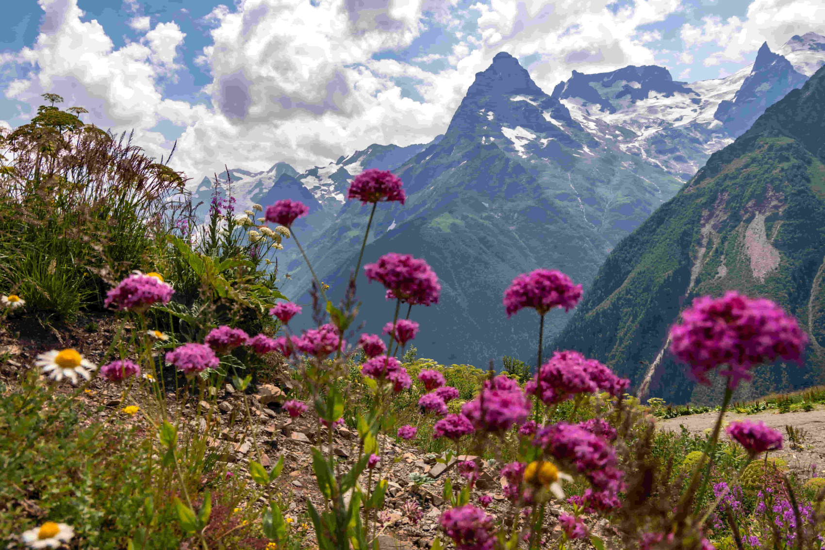 Встречи с чудесами Кавказа (1/24)