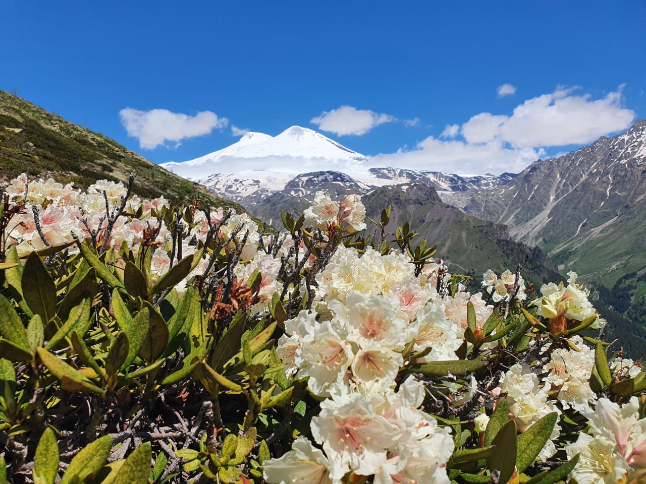 Встречи с чудесами Кавказа (15/24)