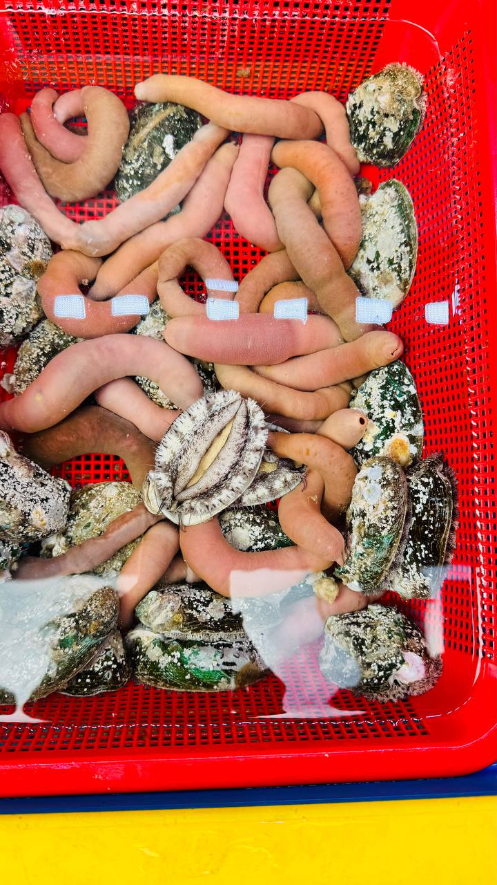 Путешествие В Страну Утренней Свежести - Южную Корею (26/47)