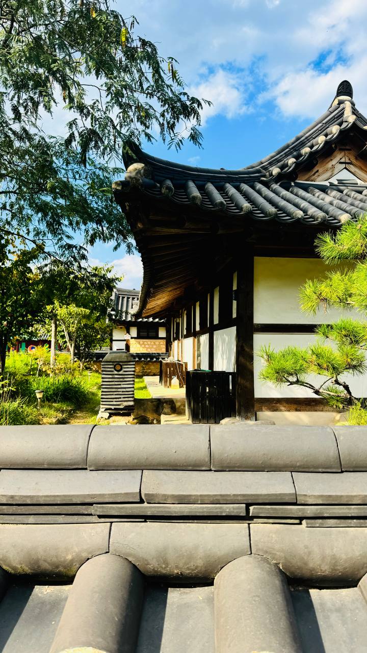 Путешествие В Страну Утренней Свежести - Южную Корею (13/47)