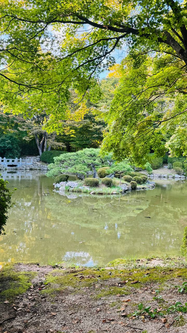 Путешествие В Страну Утренней Свежести - Южную Корею (14/47)