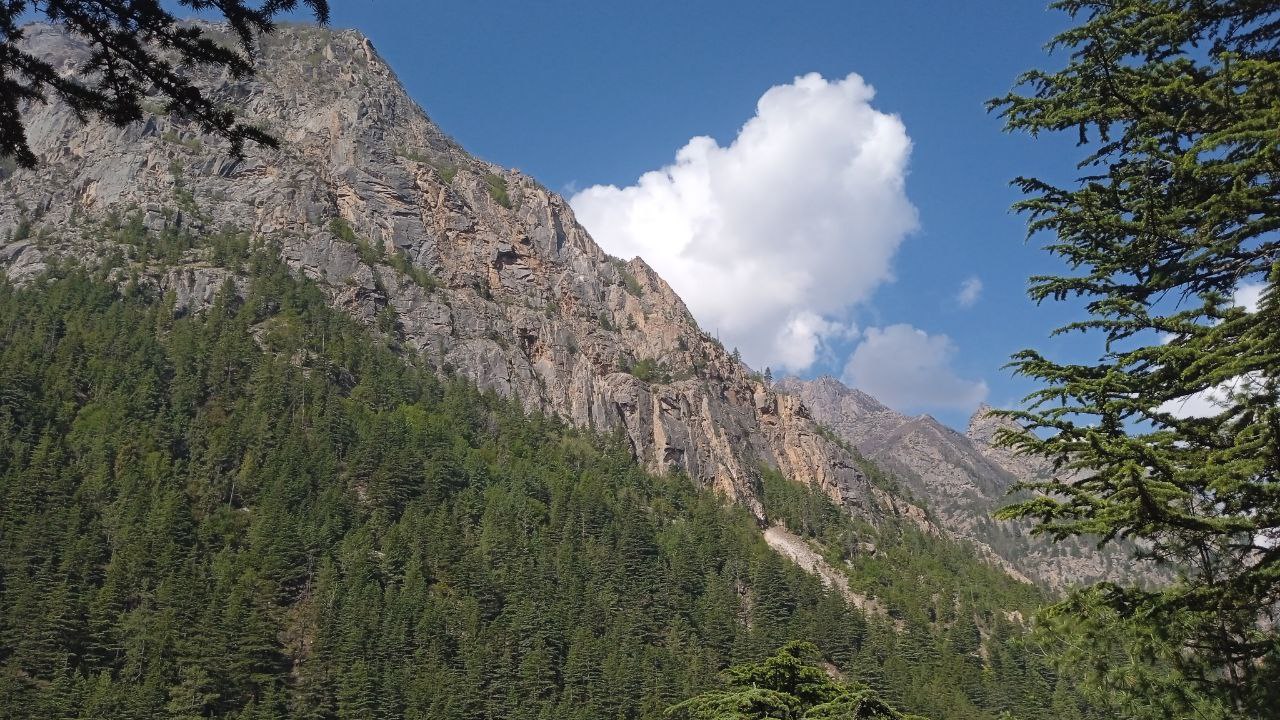 Индия: четыре бриллианта (34/127)