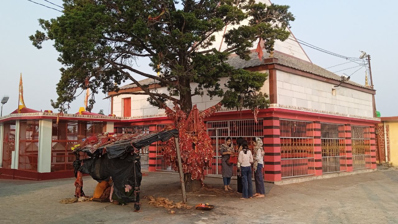 Индия: четыре бриллианта (76/127)