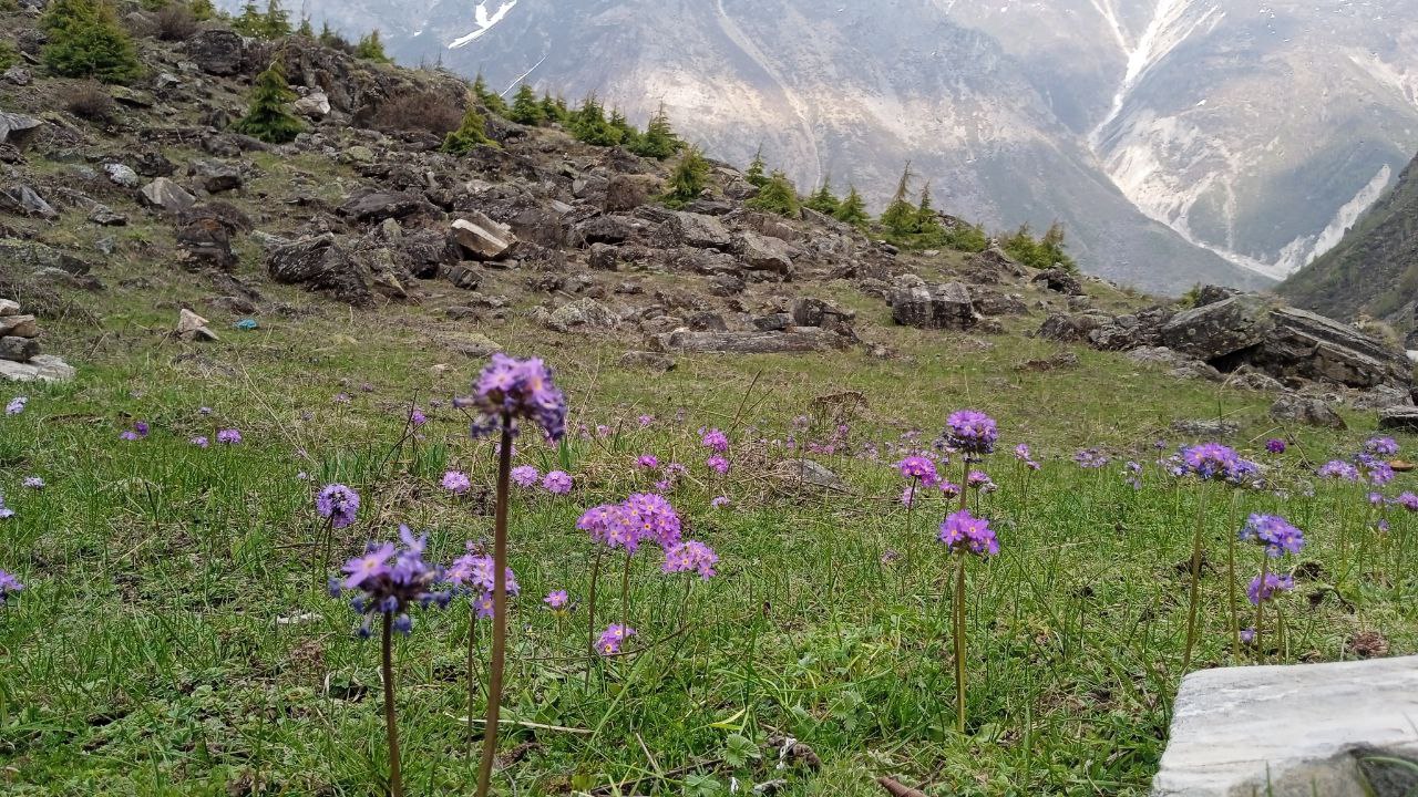 Индия: четыре бриллианта (59/127)