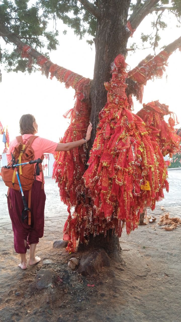 Индия: четыре бриллианта (78/127)