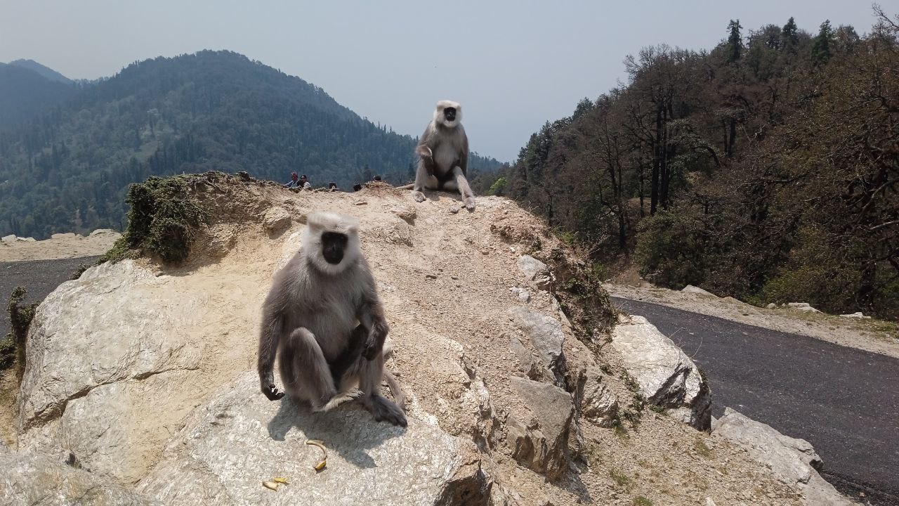 Индия: четыре бриллианта (64/127)