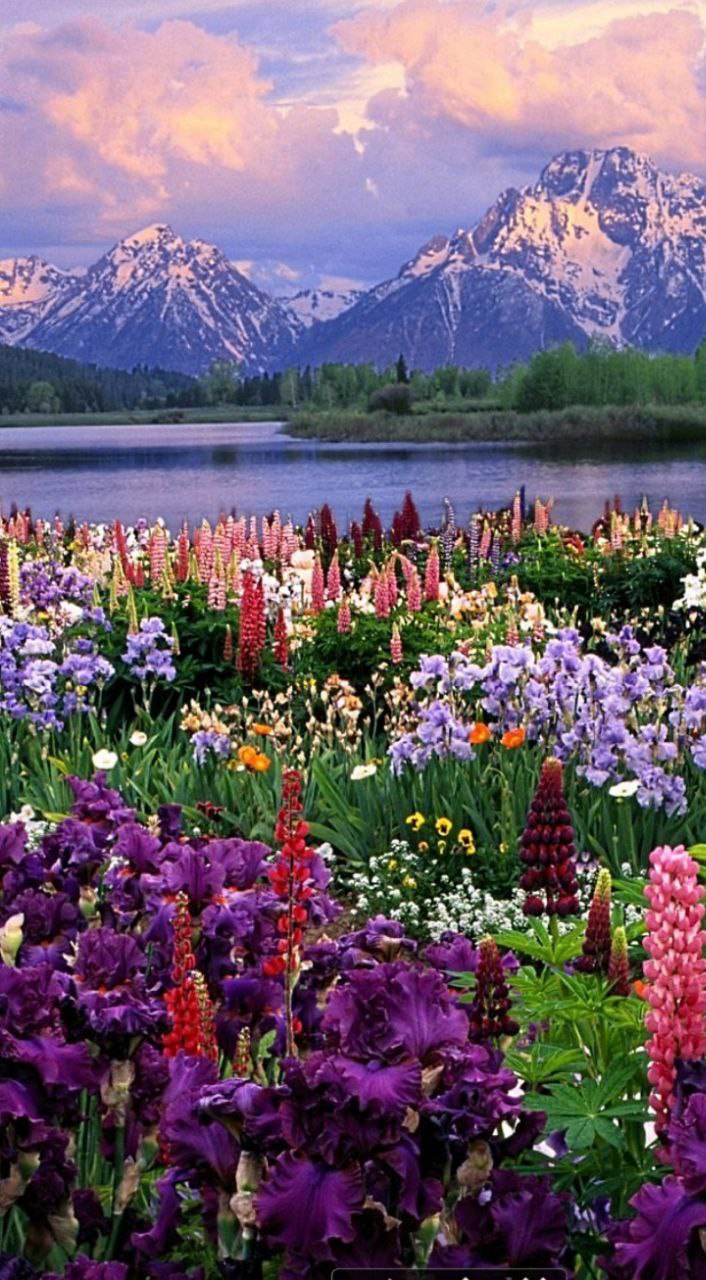 Индия: четыре бриллианта (55/127)