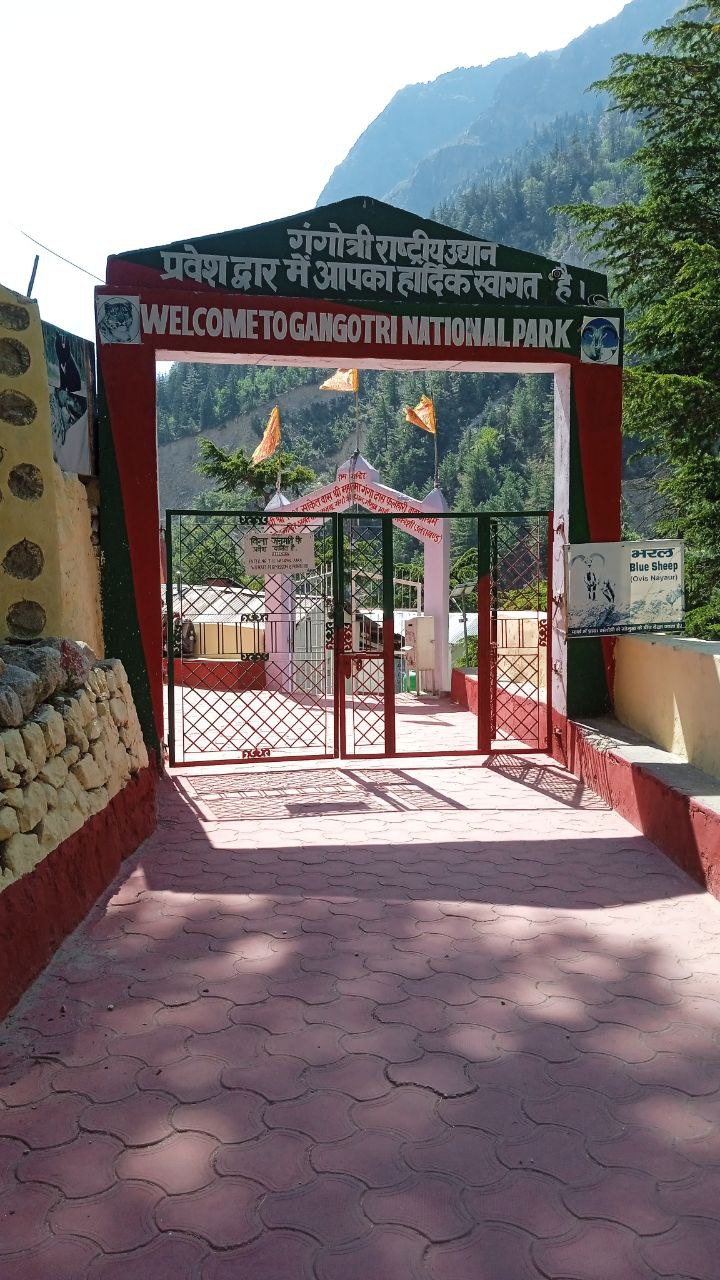 Индия: четыре бриллианта (36/127)