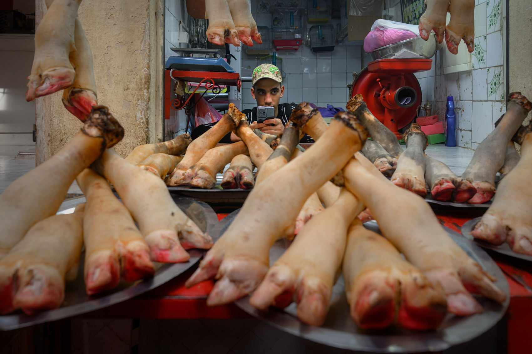 Марокко от океана до Сахары (45/87)