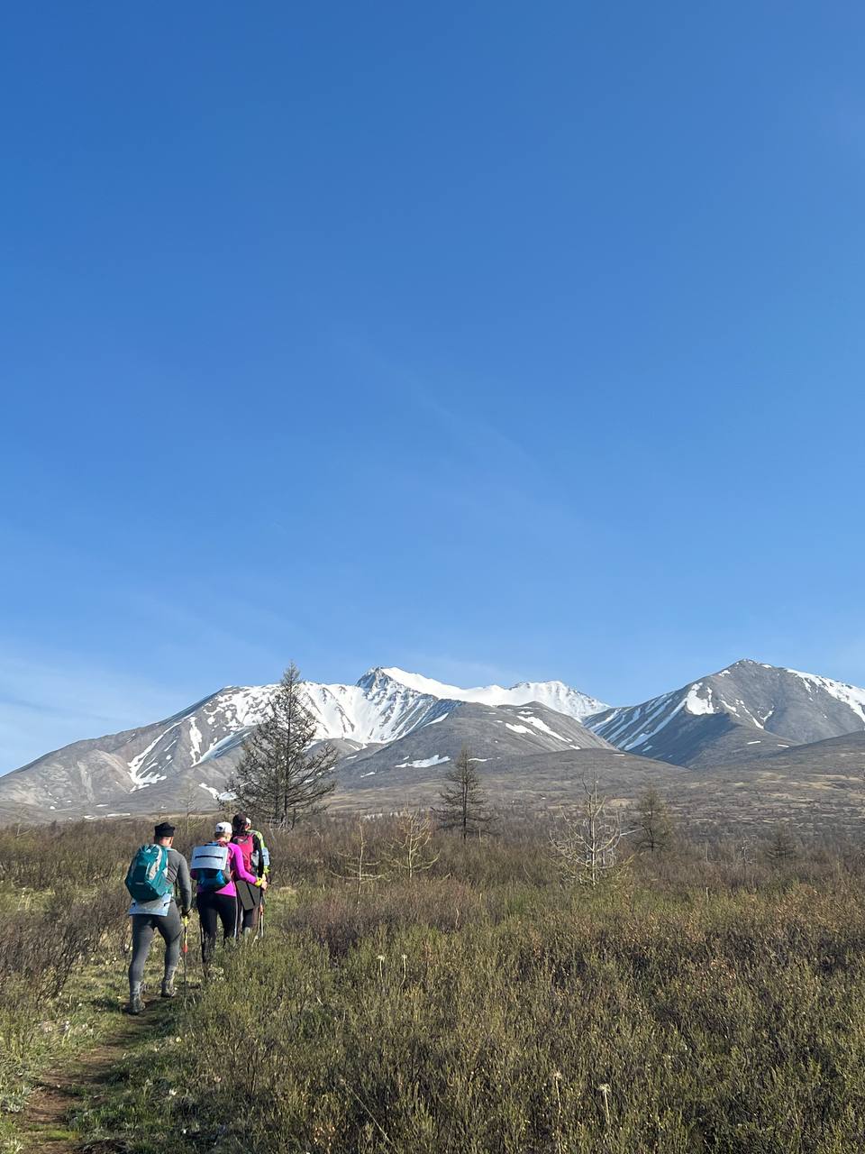 Высокогорная Монголия. (3/82)