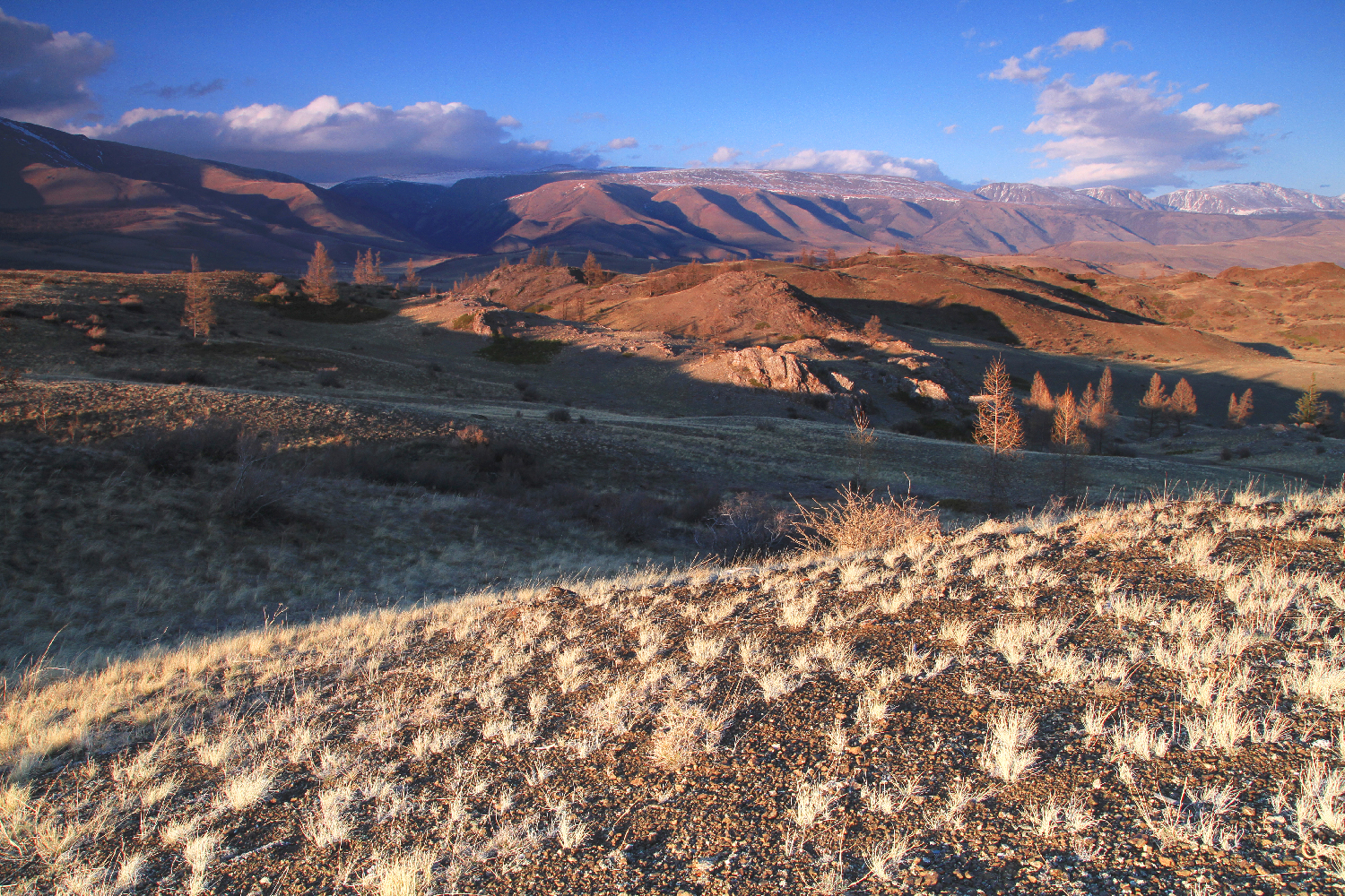 Точка встречи Осенний Алтай! (5/28)