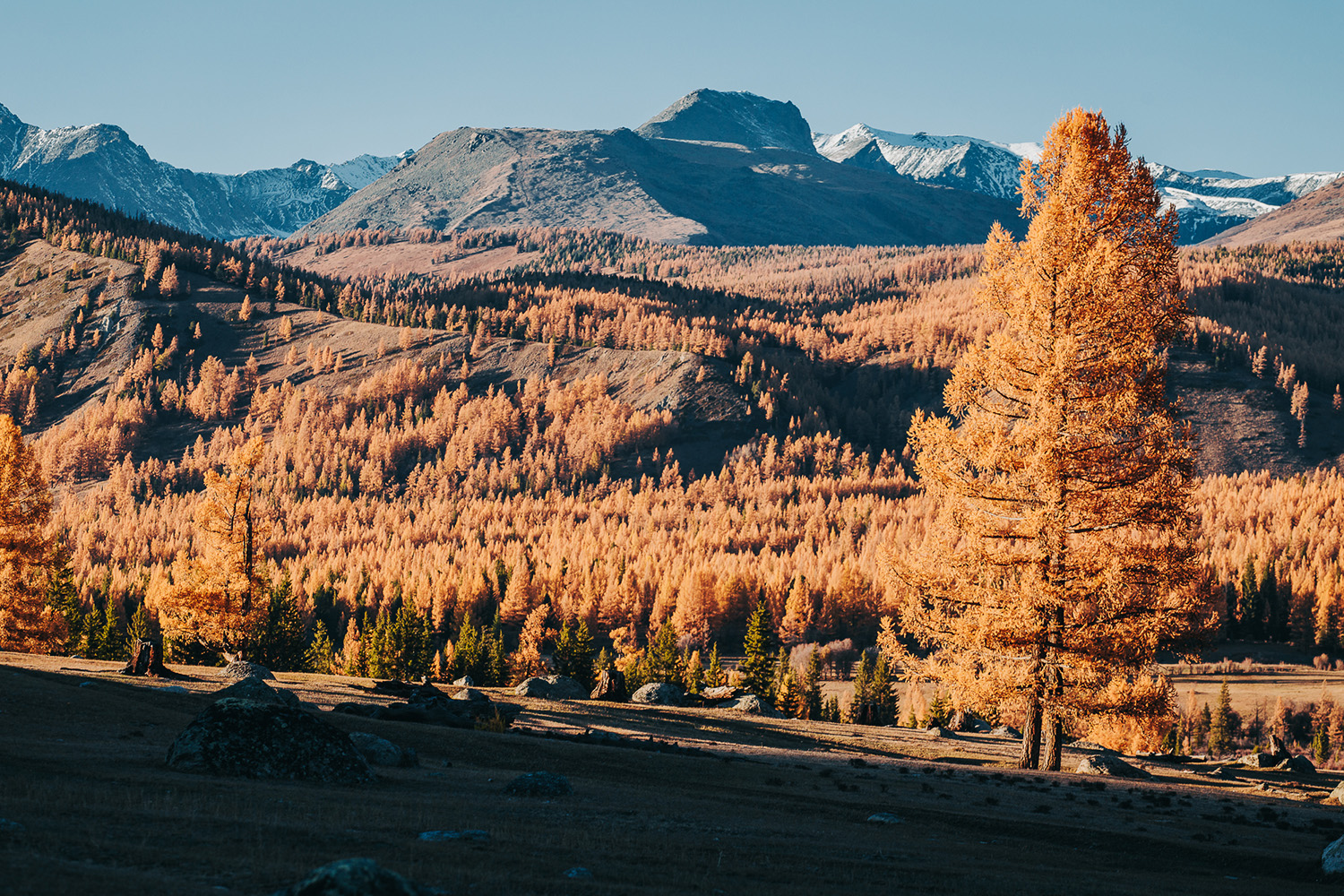 Точка встречи Осенний Алтай! (3/28)