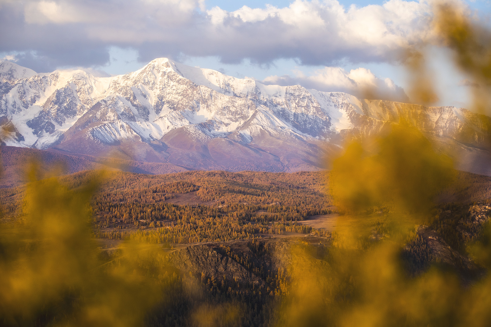 Точка встречи Осенний Алтай! (2/28)