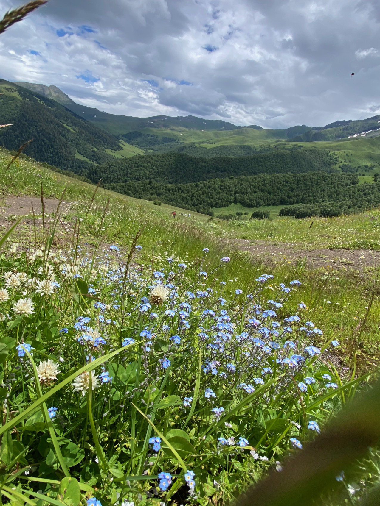 Голубые озера Архыза (5/24)