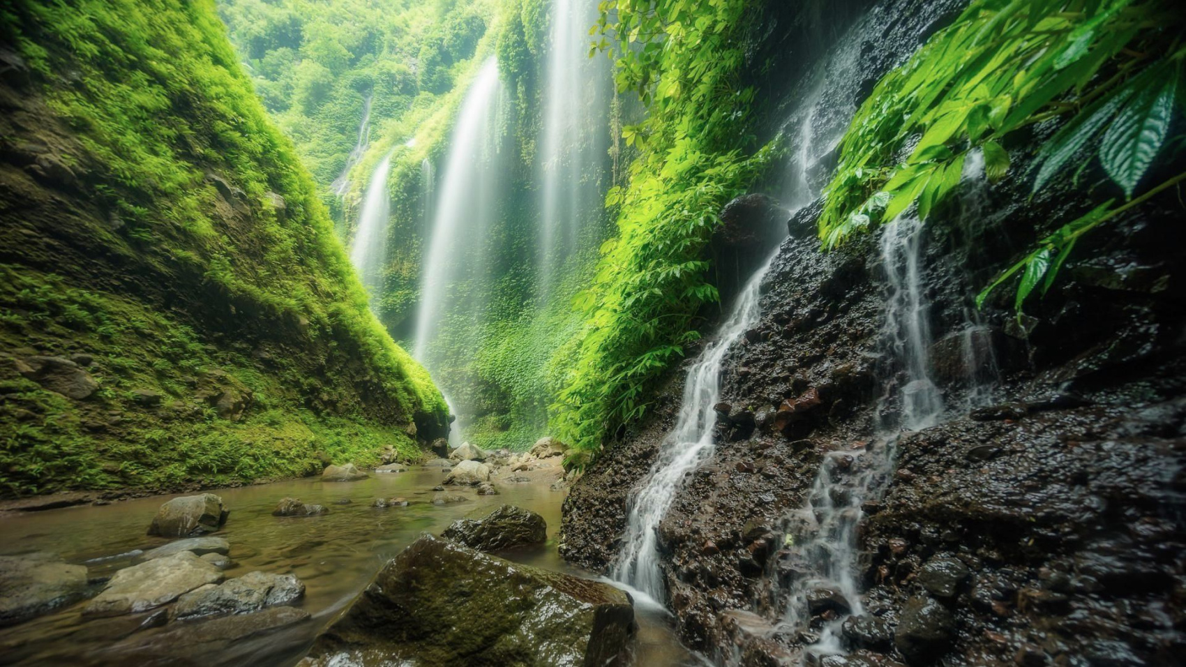 Тур по Индонезии: Ява и Бали за 12 дней. Вулканы, храмы и моря. (35/66)