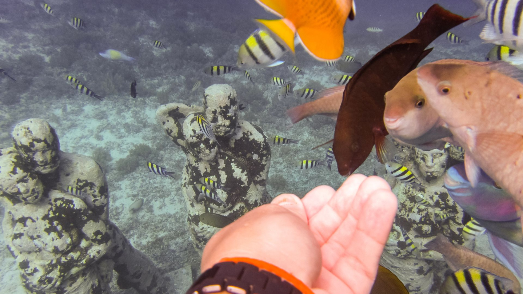 Тур по Индонезии: Ява и Бали за 12 дней. Вулканы, храмы и моря. (10/66)