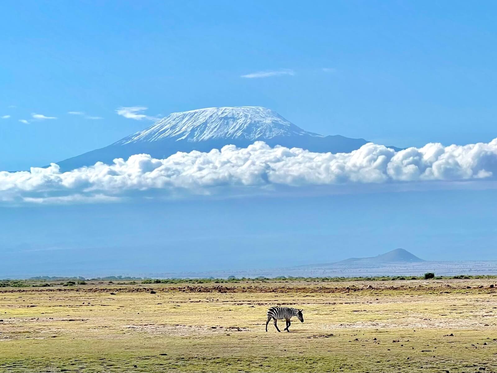 Восхождение на Килиманджаро по маршруту Лемошо (4/7)