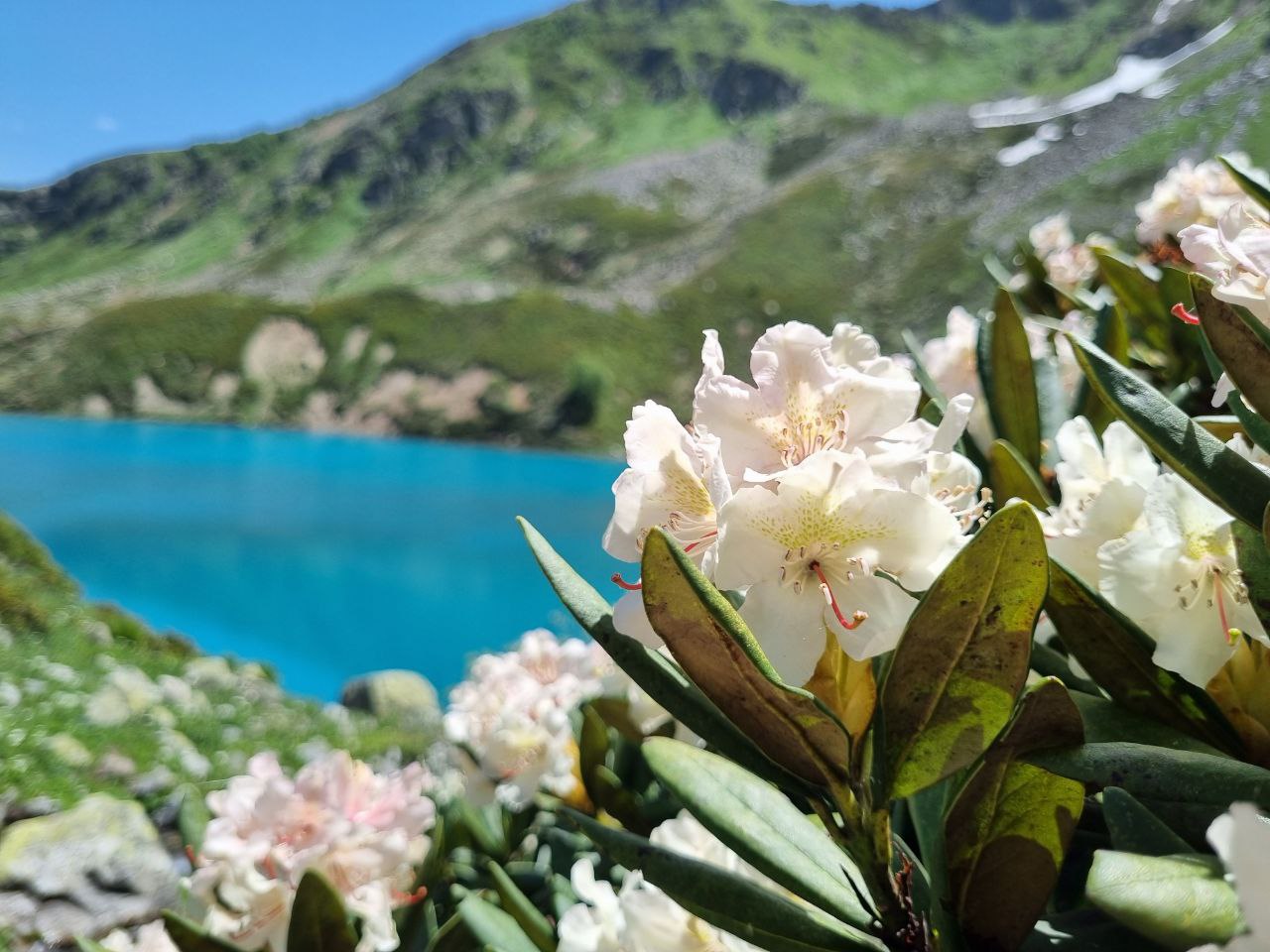 Необъятный Архыз. Комфортный трекинг без рюкзаков (19/58)