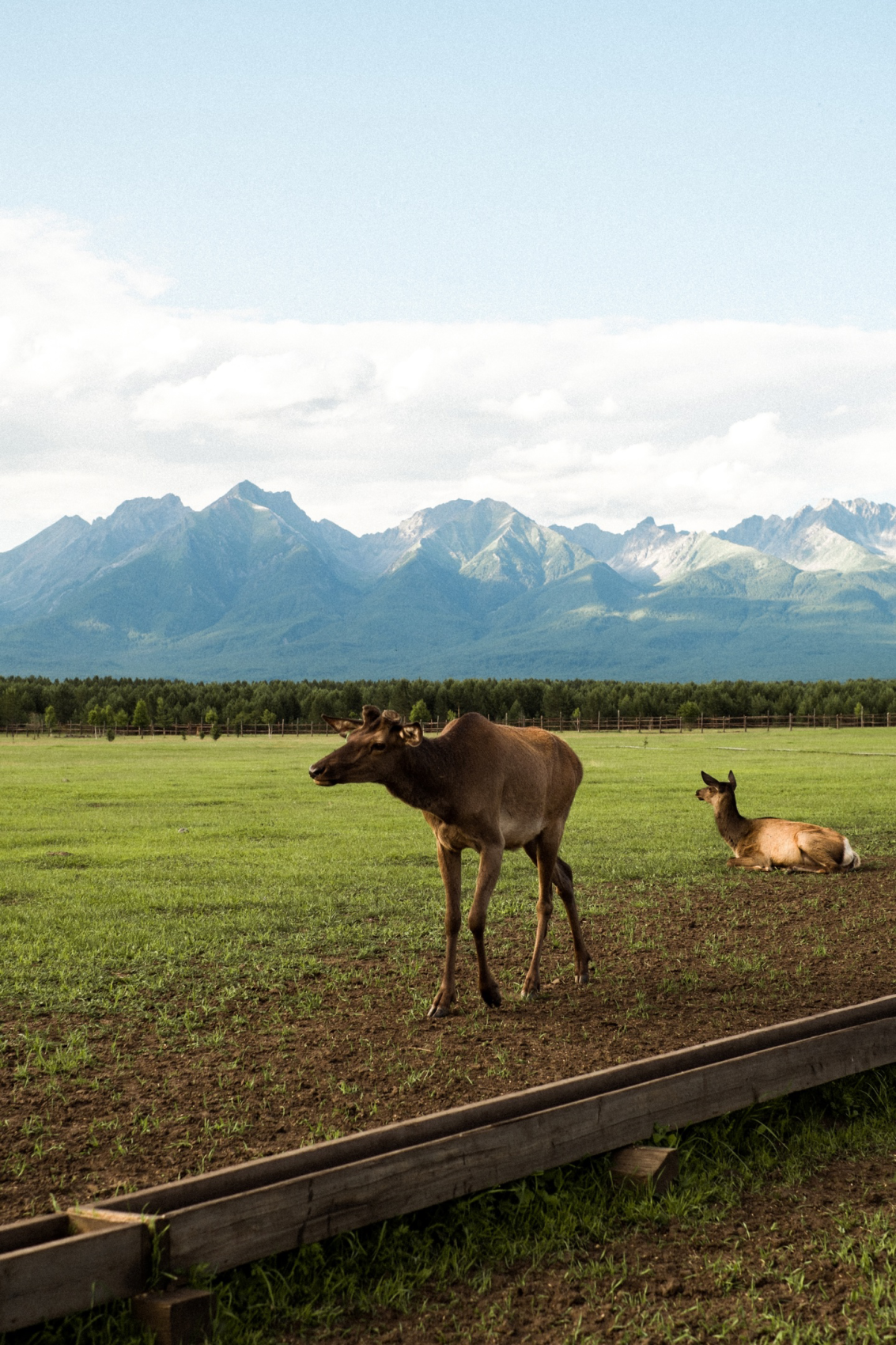 Байкал + Бурятия : Ольхон, Аршан, пик Любви, ск. Шаманка, мыс Хобой (2/10)