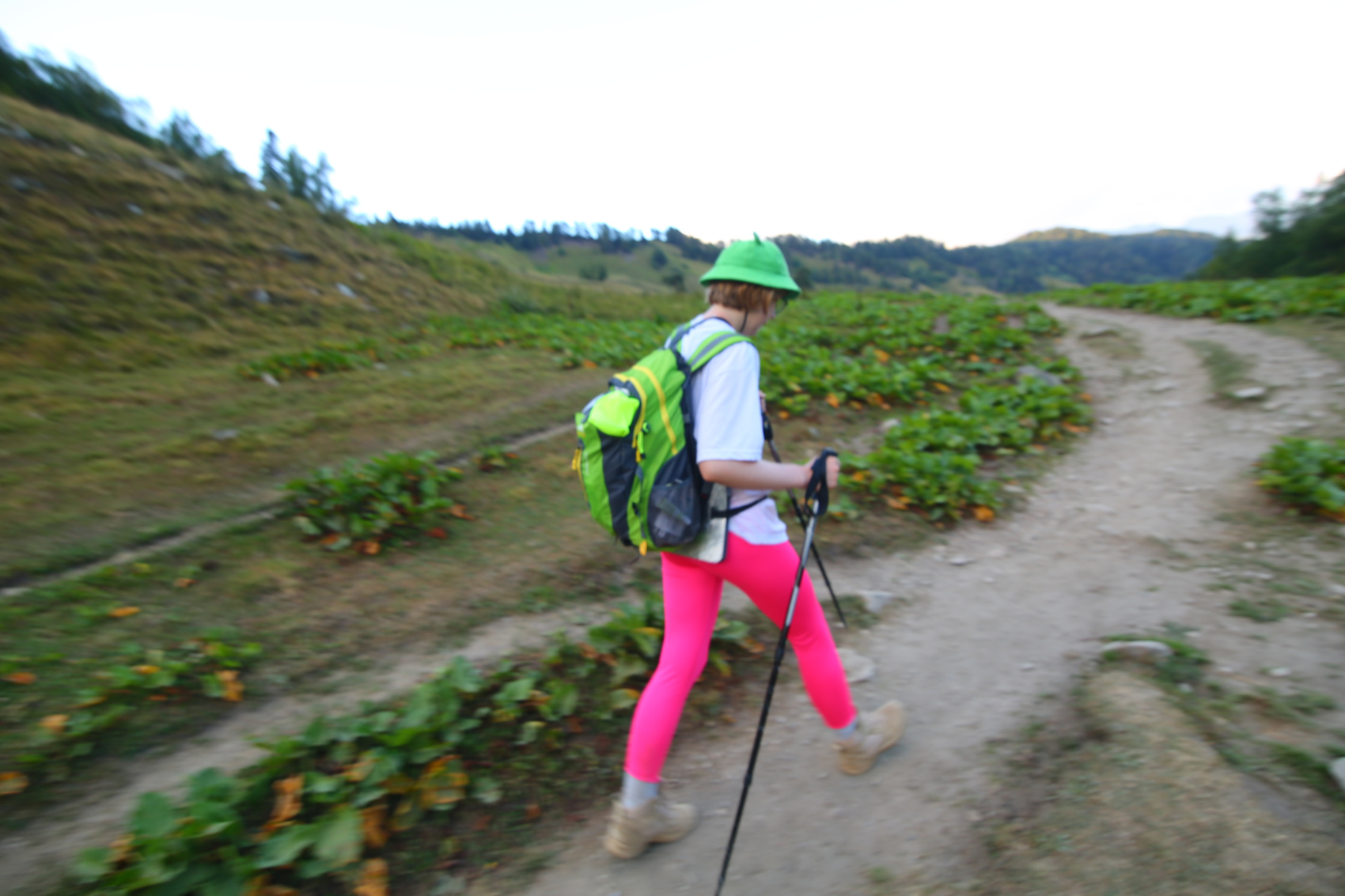 Поход налегке по Грузии 6 дней (11/13)