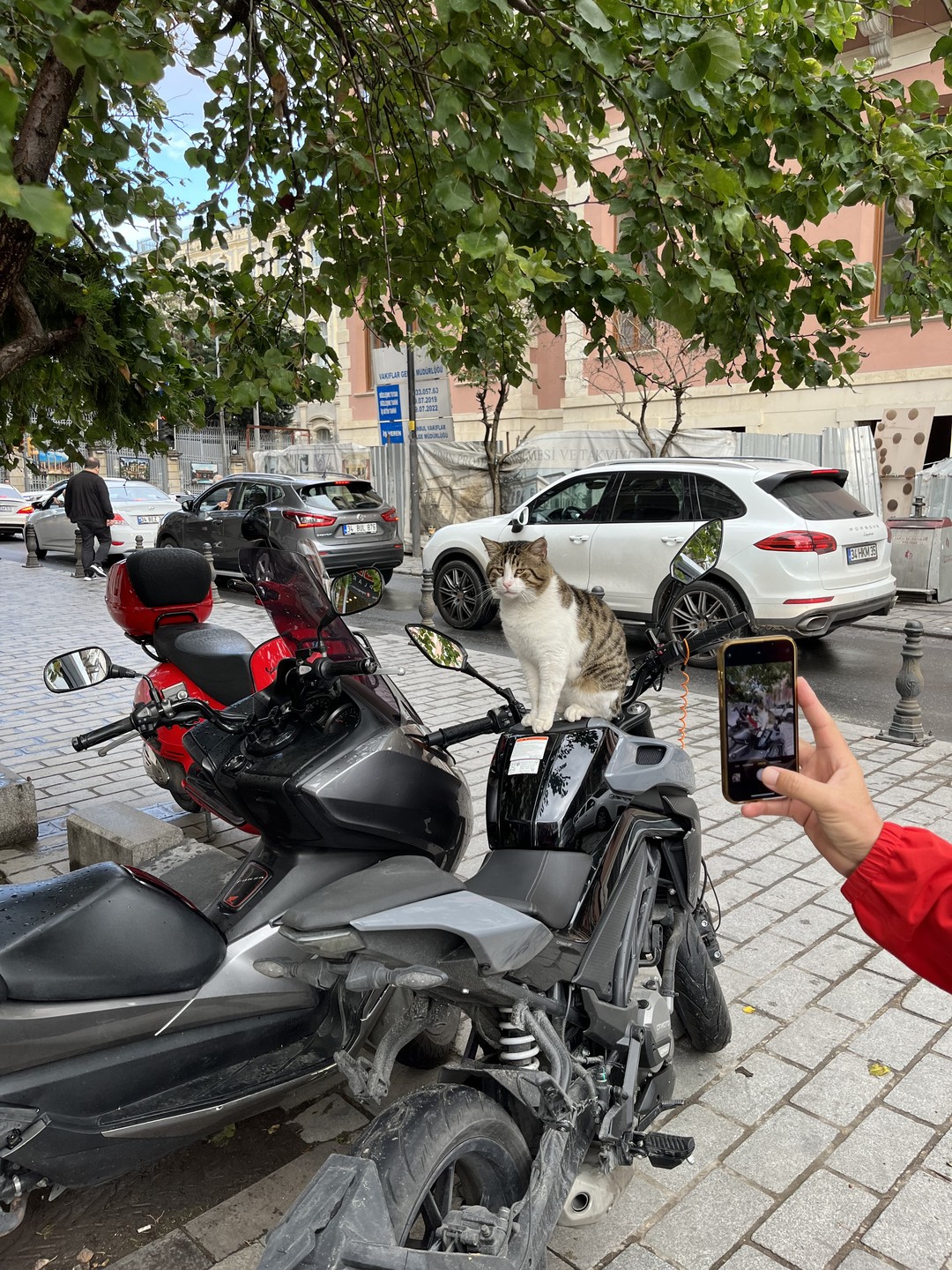 Стамбул: увидеть главное за 4 дня (11/63)