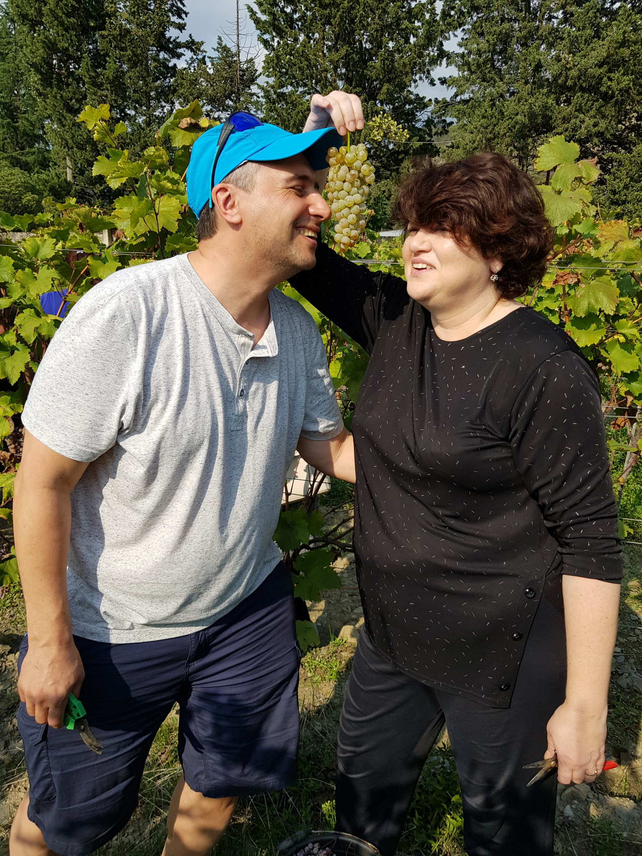 Ртвели  праздник урожая в Грузии. Осенний тематический тур (24/100)