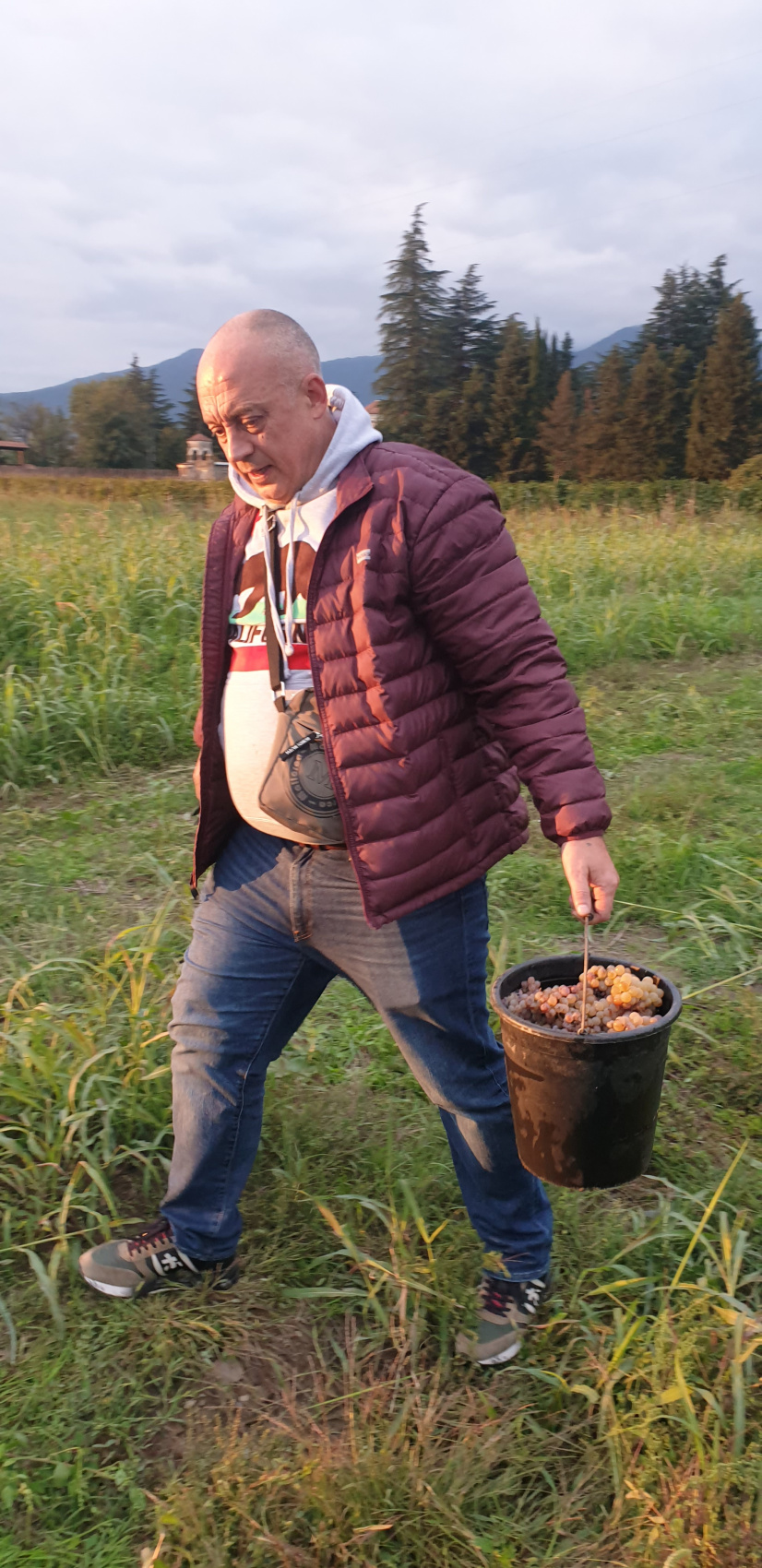 Ртвели  праздник урожая в Грузии. Осенний тематический тур (52/100)